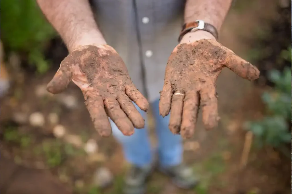 top soil