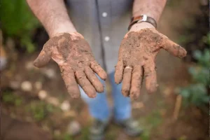 top soil